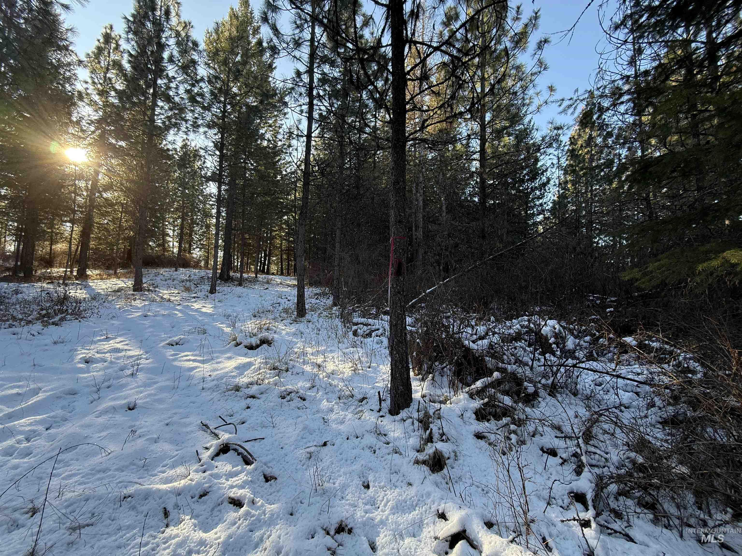 Tbd Liberty Lane Viola, ID 83872 - Photo 32 of 50