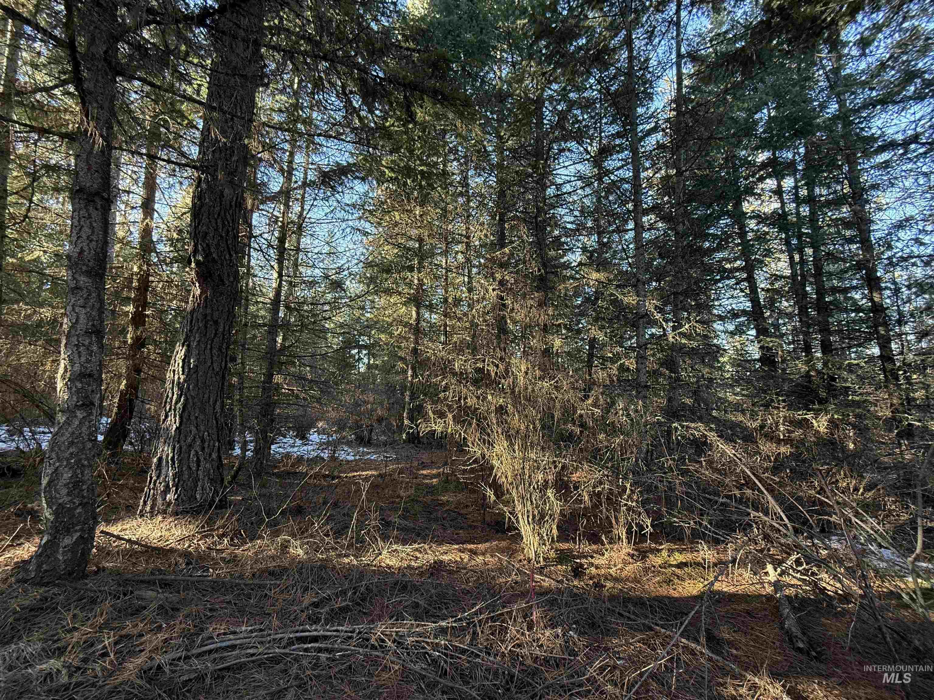 Tbd Liberty Lane Viola, ID 83872 - Photo 33 of 50