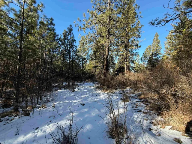 $349,000 | Tbd Liberty Lane, Viola, ID 83872
