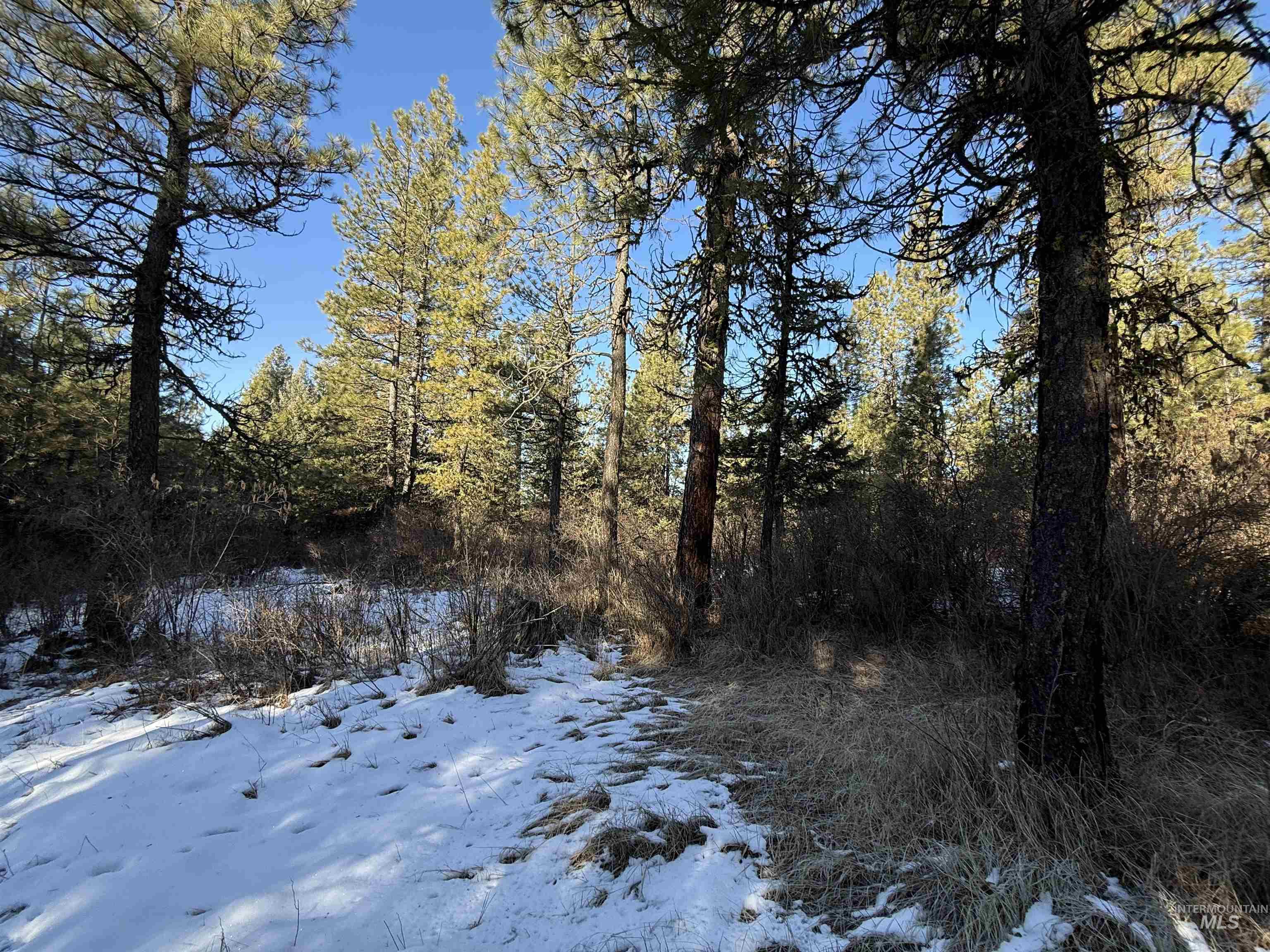 Tbd Liberty Lane Viola, ID 83872 - Photo 35 of 50