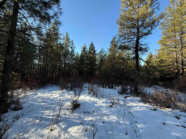 $349,000 | Tbd Liberty Lane, Viola, ID 83872