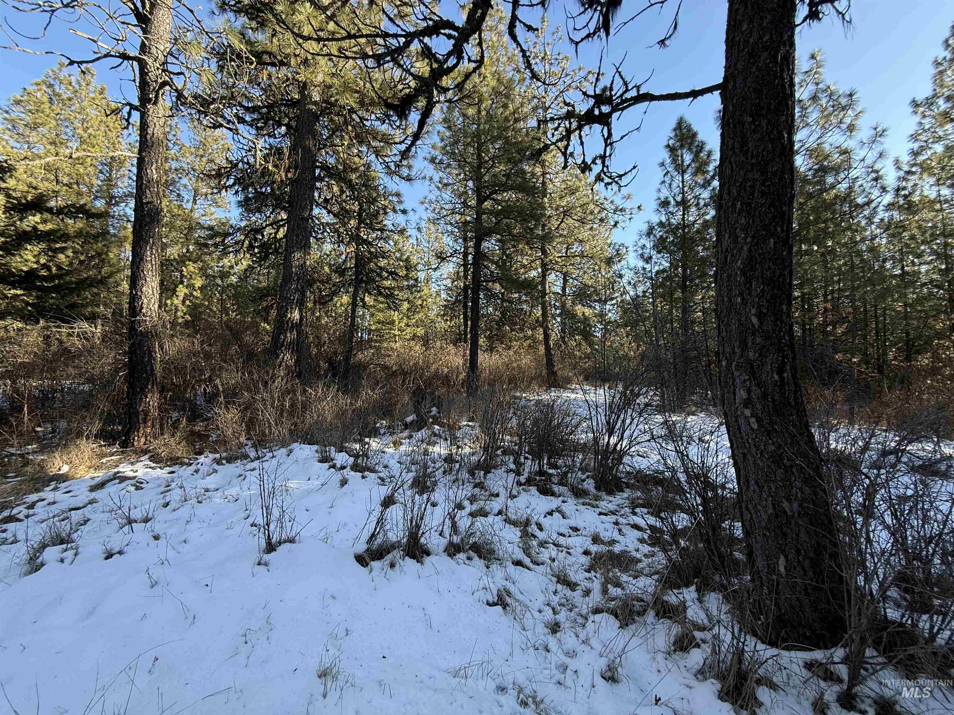 Tbd Liberty Lane Viola, ID 83872 - Photo 40 of 50