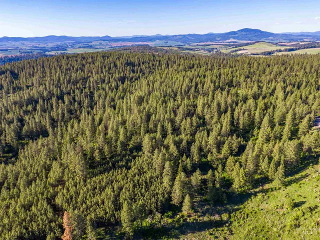$349,000 | Tbd Liberty Lane, Viola, ID 83872