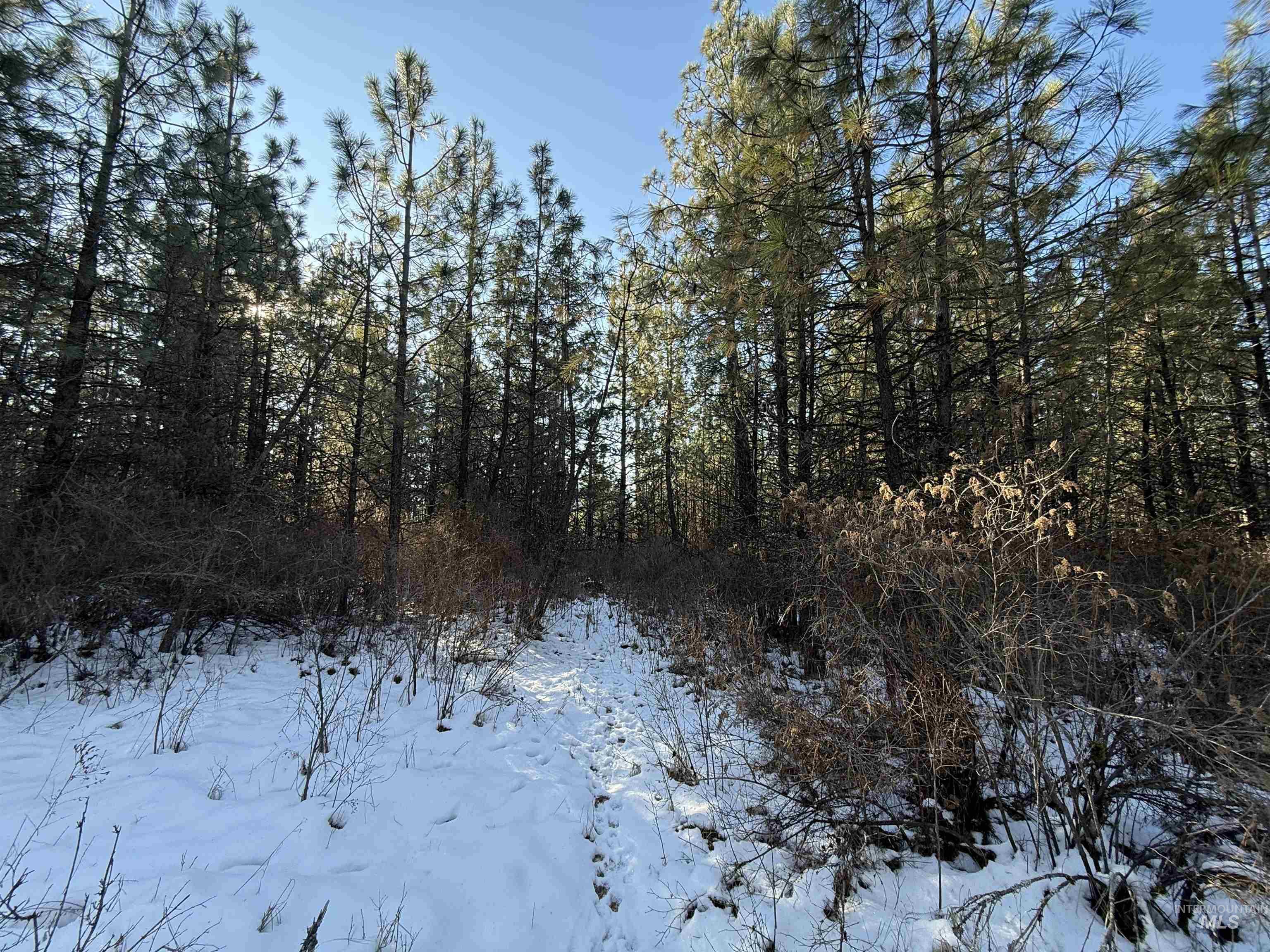 Tbd Liberty Lane Viola, ID 83872 - Photo 42 of 50