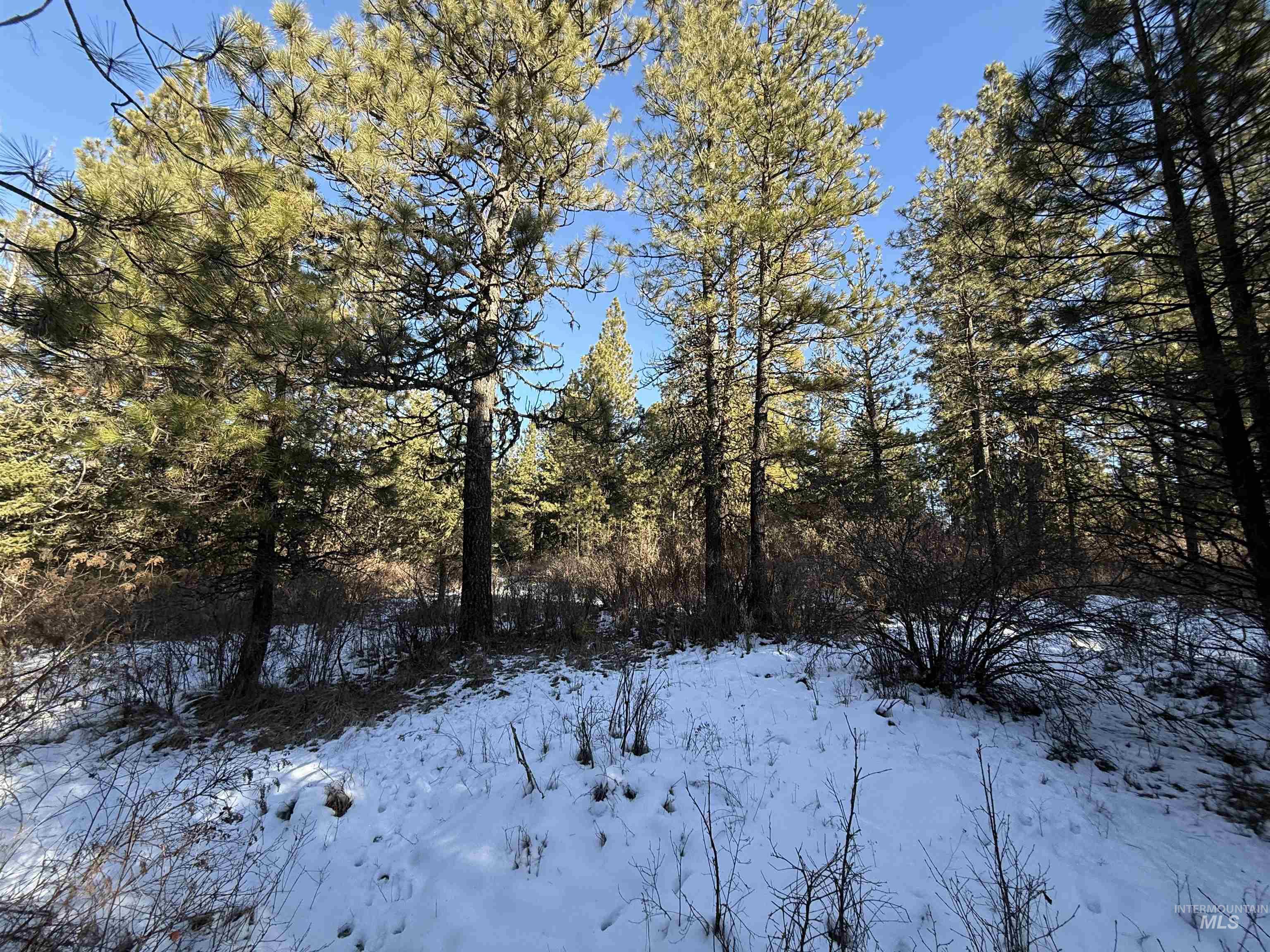 Tbd Liberty Lane Viola, ID 83872 - Photo 43 of 50