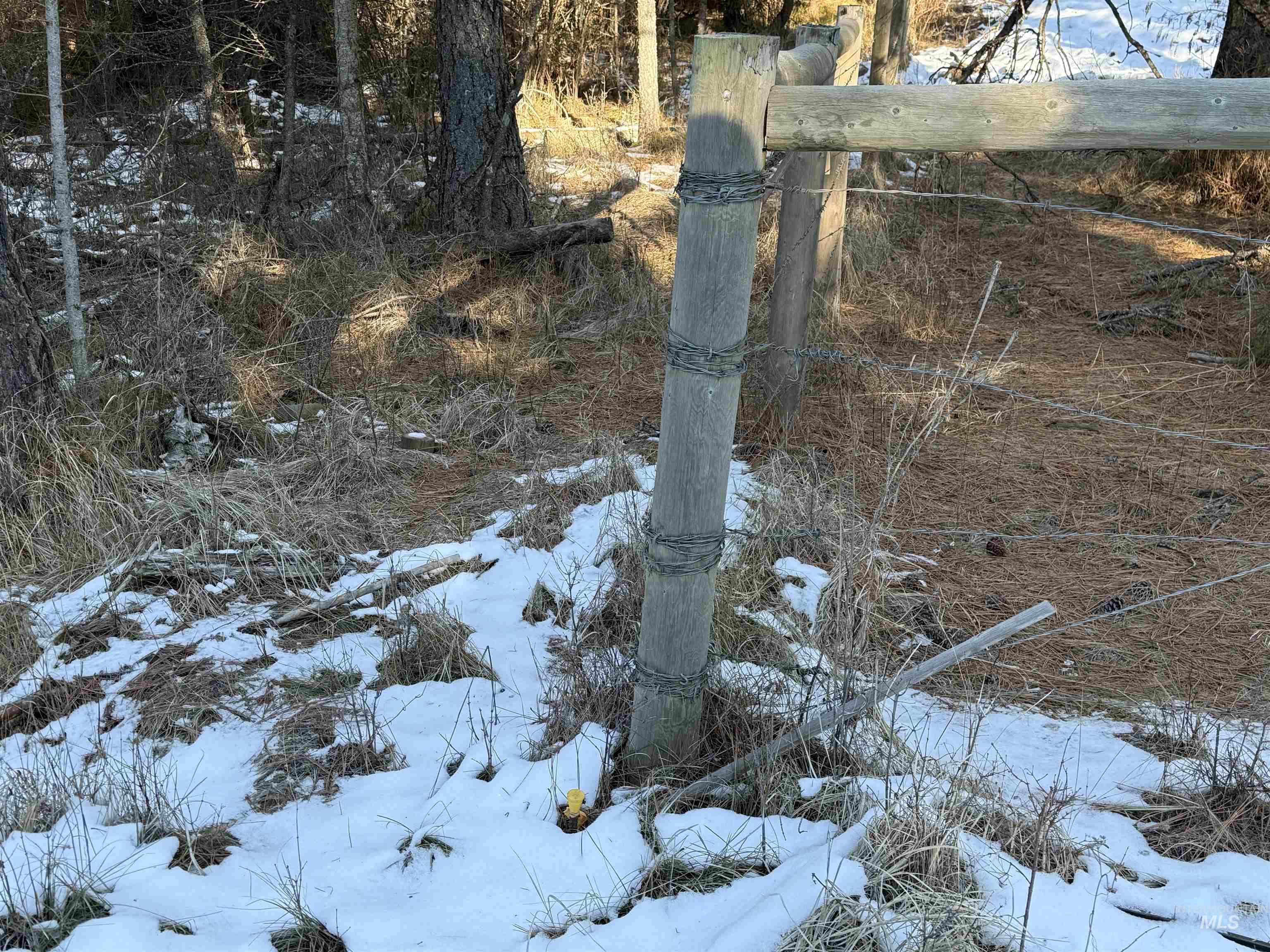 Tbd Liberty Lane Viola, ID 83872 - Photo 45 of 50