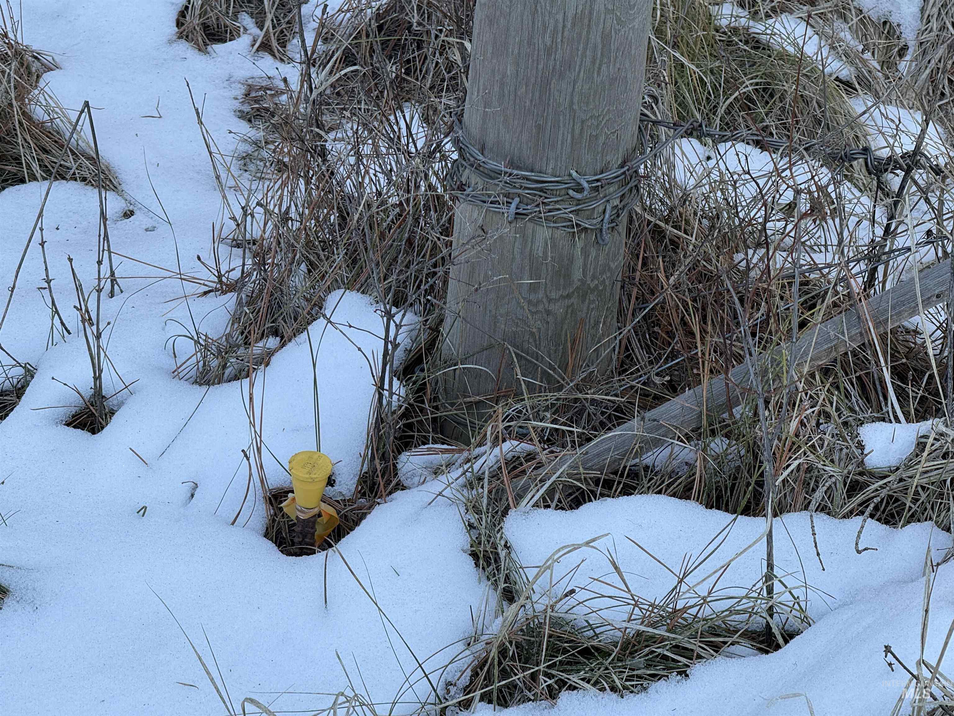 Tbd Liberty Lane Viola, ID 83872 - Photo 46 of 50