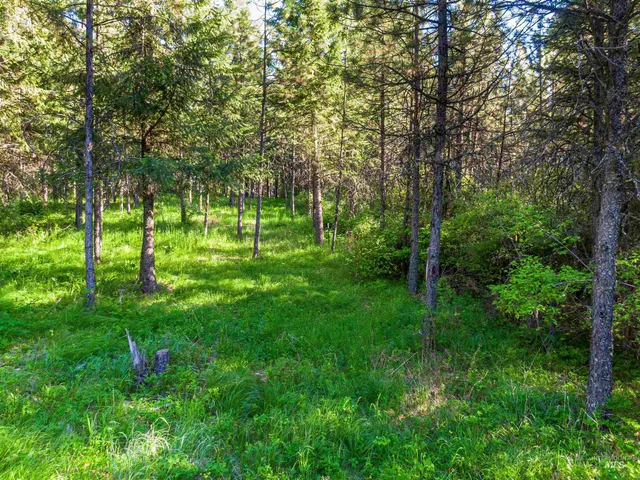 $349,000 | Tbd Liberty Lane, Viola, ID 83872