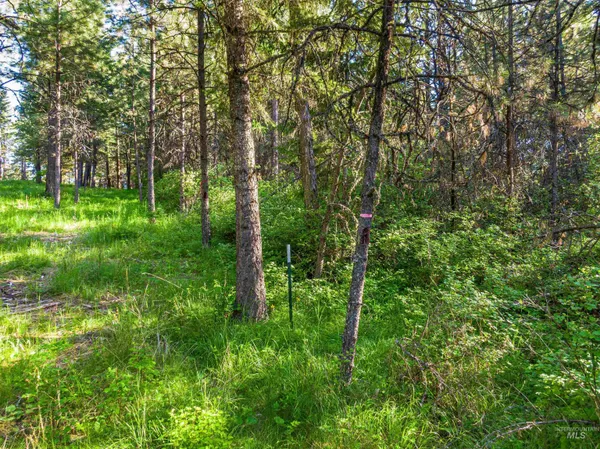 $349,000 | Tbd Liberty Lane, Viola, ID 83872