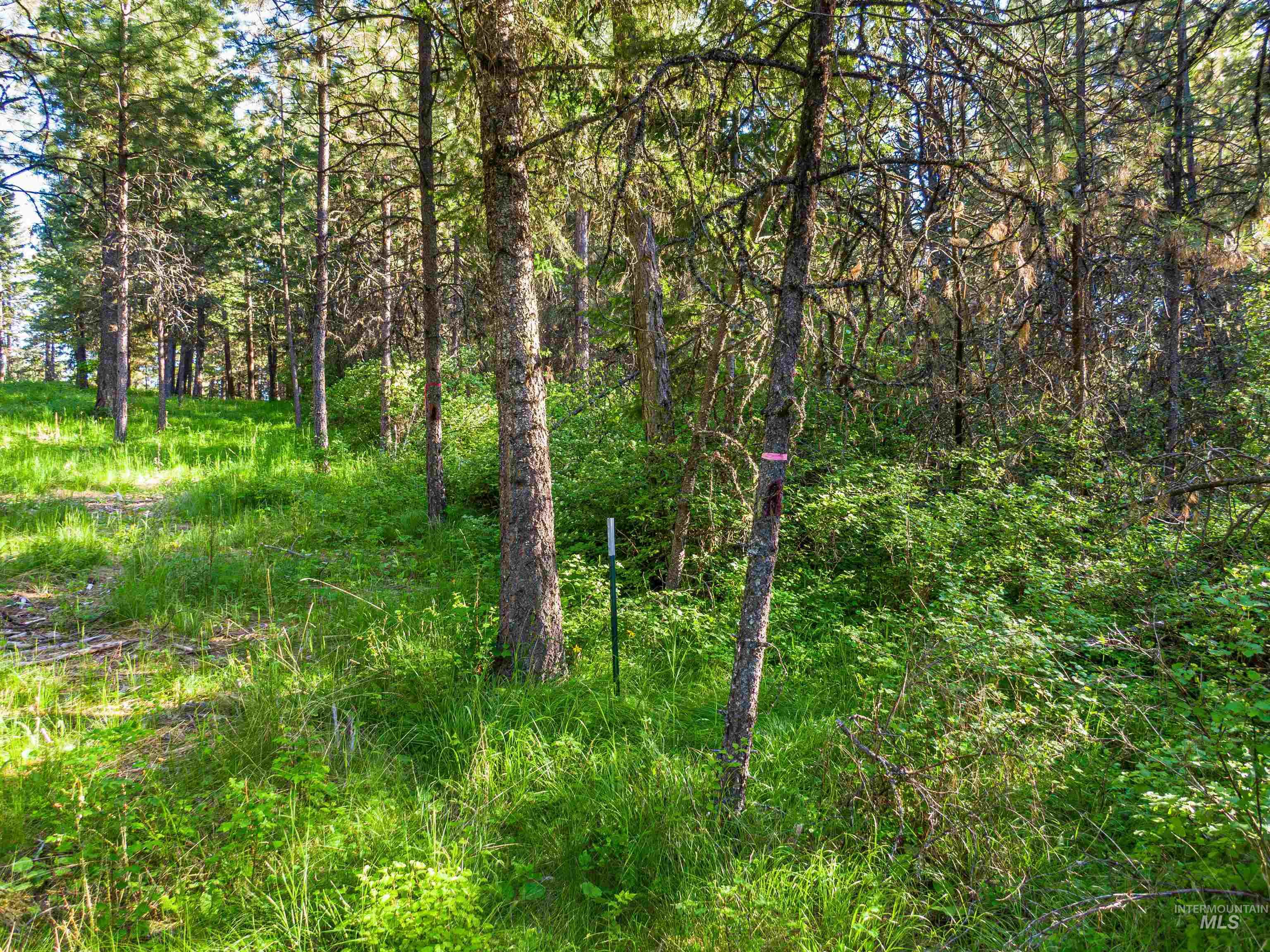 Tbd Liberty Lane Viola, ID 83872 - Photo 9 of 50