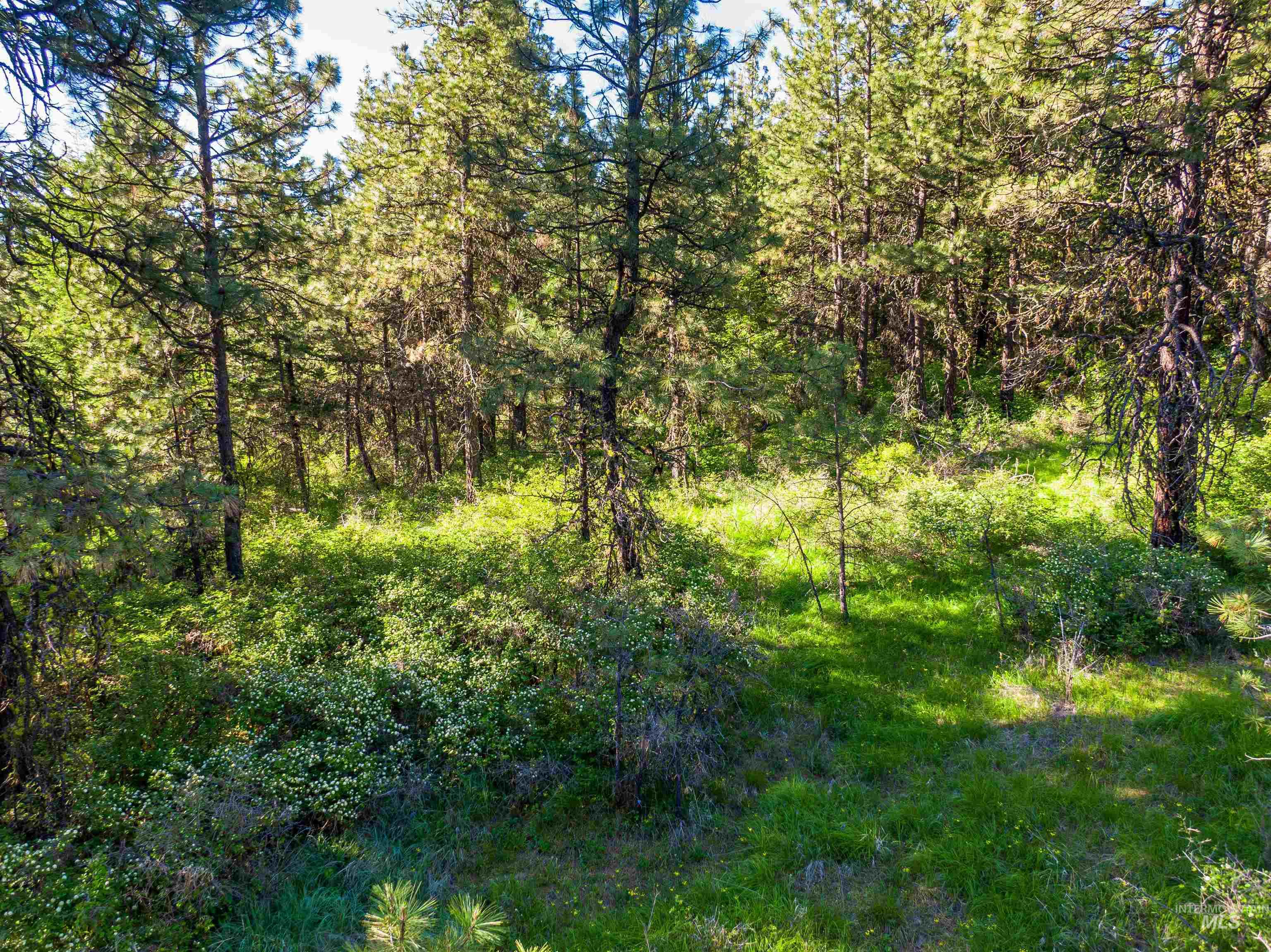 Tbd Liberty Lane Viola, ID 83872 - Photo 10 of 50