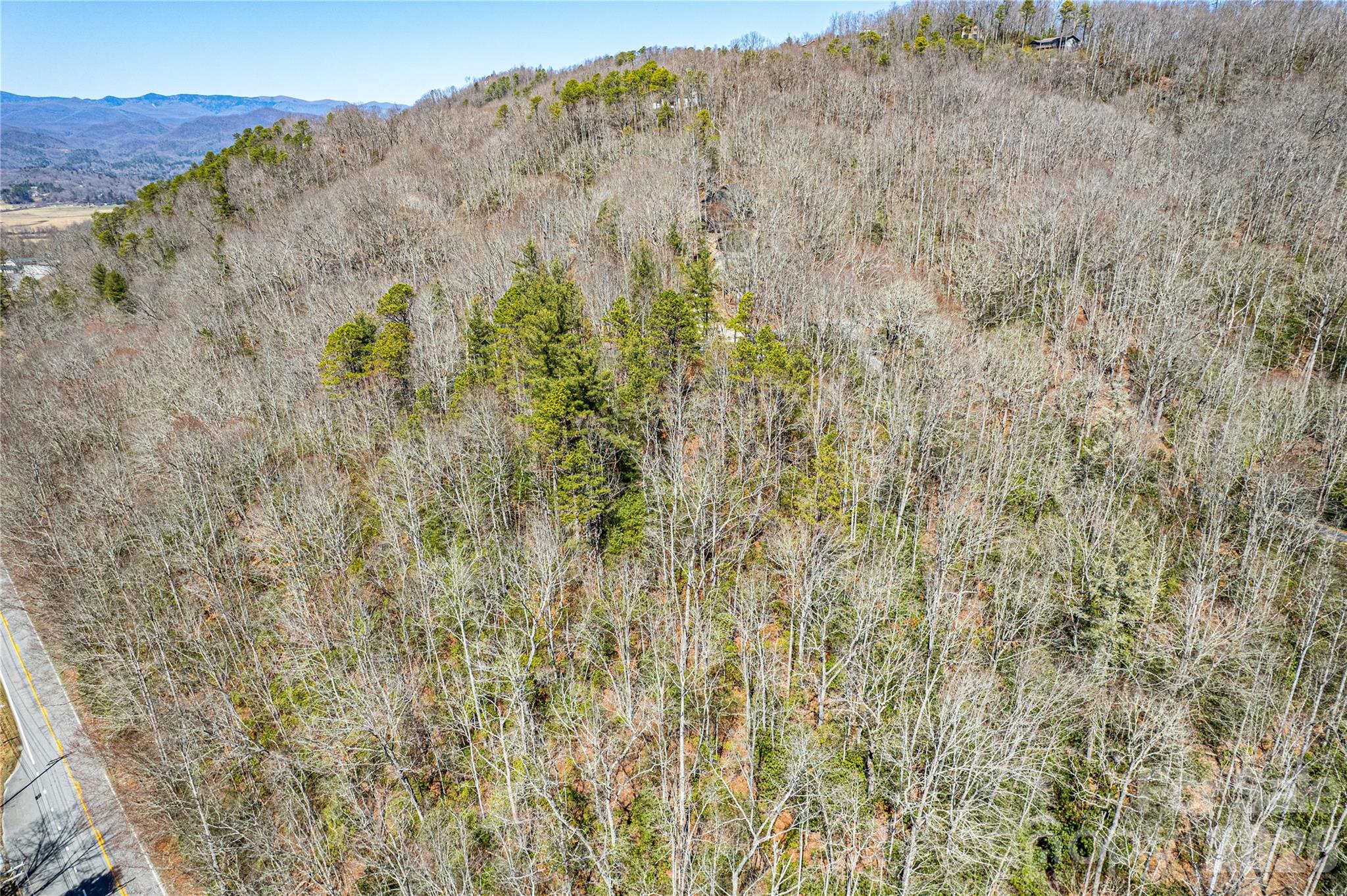 Tbd Still Branch Road, Unit L20 Brevard, NC 28712 - Photo 10 of 26