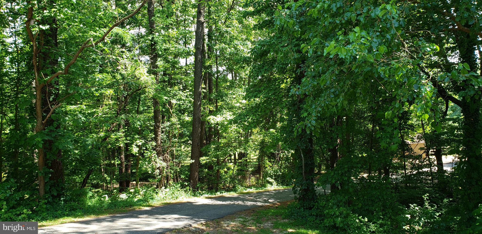 1561 German Chapel Road Prince Frederick, MD 20678 - Photo 14 of 86