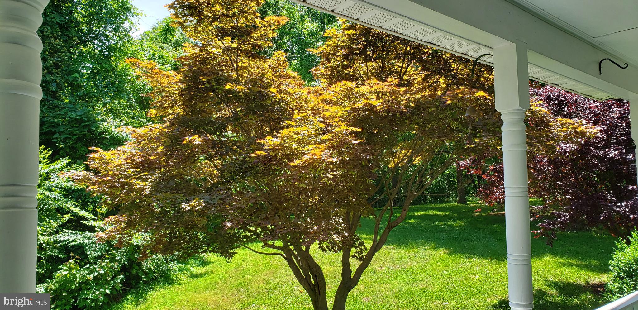 1561 German Chapel Road Prince Frederick, MD 20678 - Photo 4 of 86