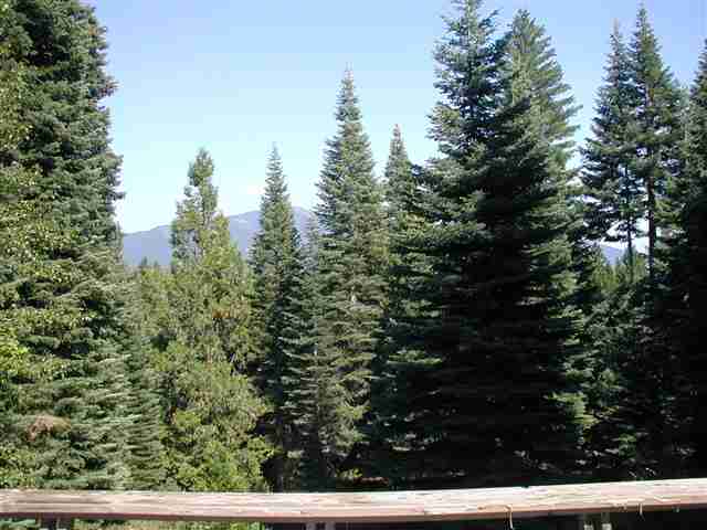 828 Lake Ridge Road Lake Almanor, CA 96137 - Photo 8 of 8