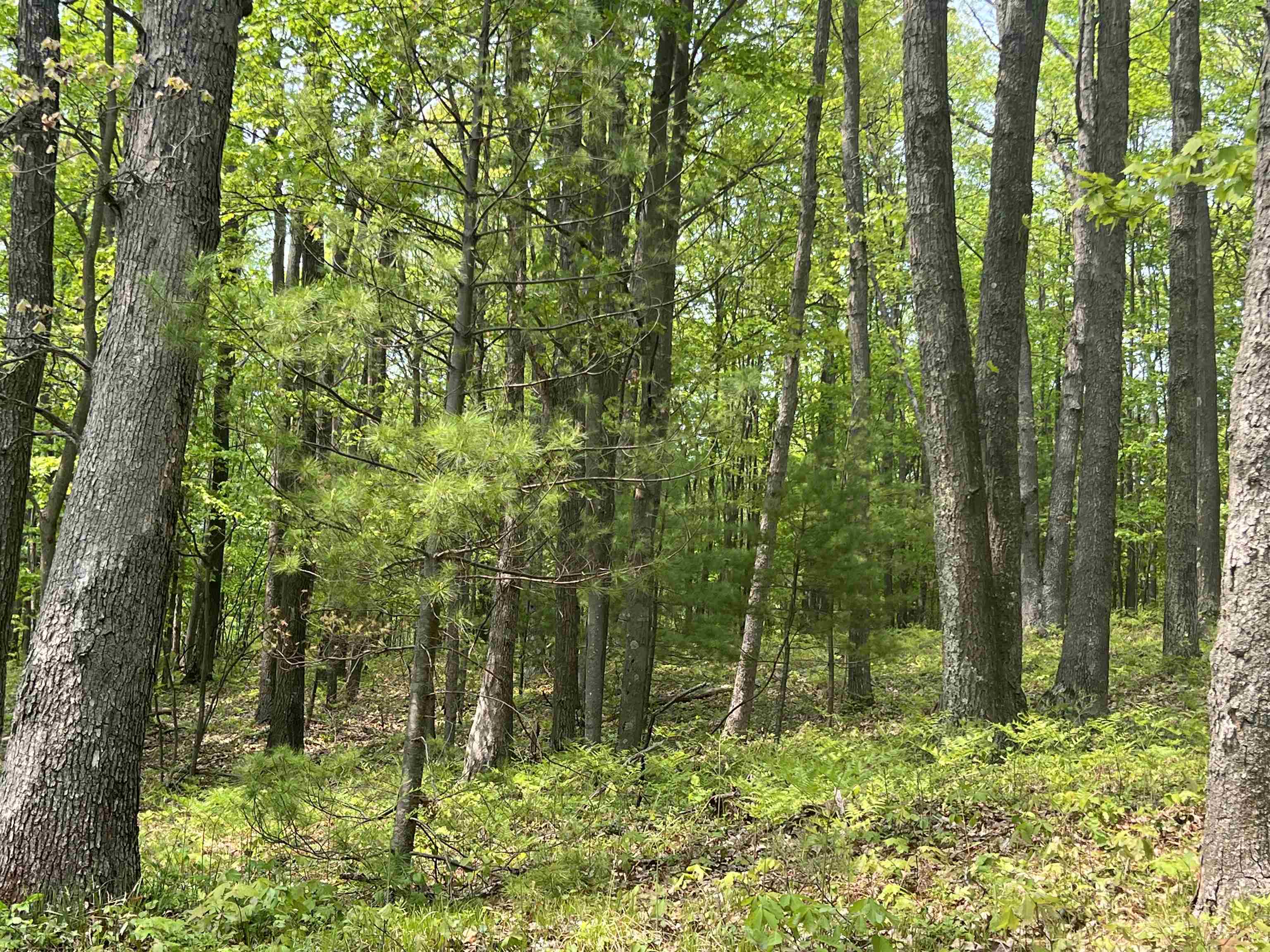 47 South 47 3/4 Road Cadillac, MI 49601 - Photo 27 of 59