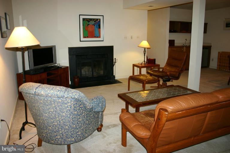 2231 Cedar Cove Court Reston, VA 20191 - Photo 15 of 30 Basement