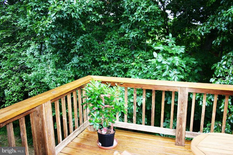 2231 Cedar Cove Court Reston, VA 20191 - Photo 22 of 30 Exterior (General)