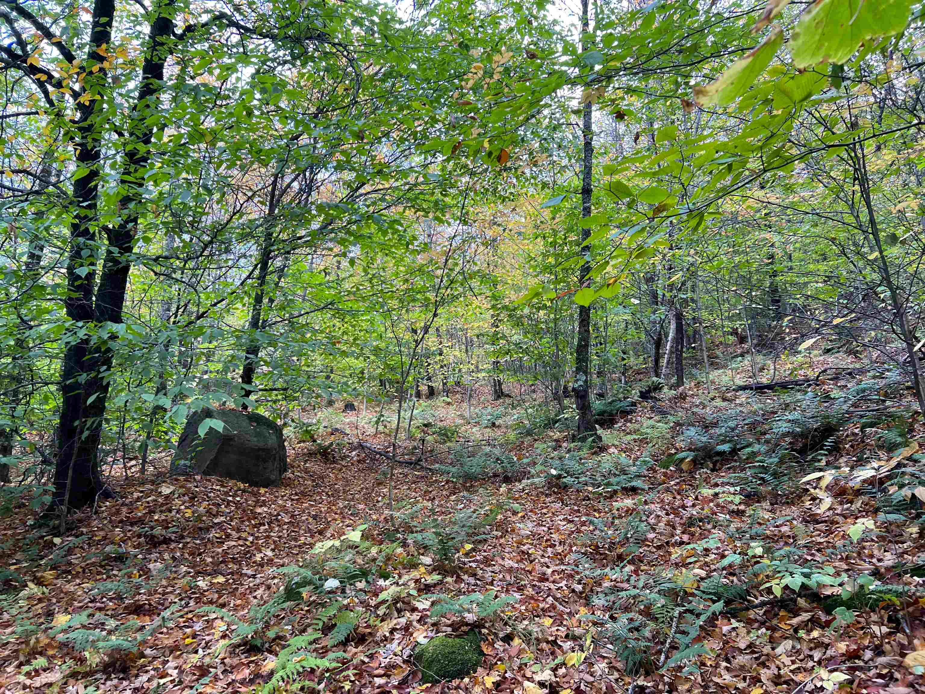 1649 Pond Hill Road Lunenburg, VT 05906 - Photo 4 of 37