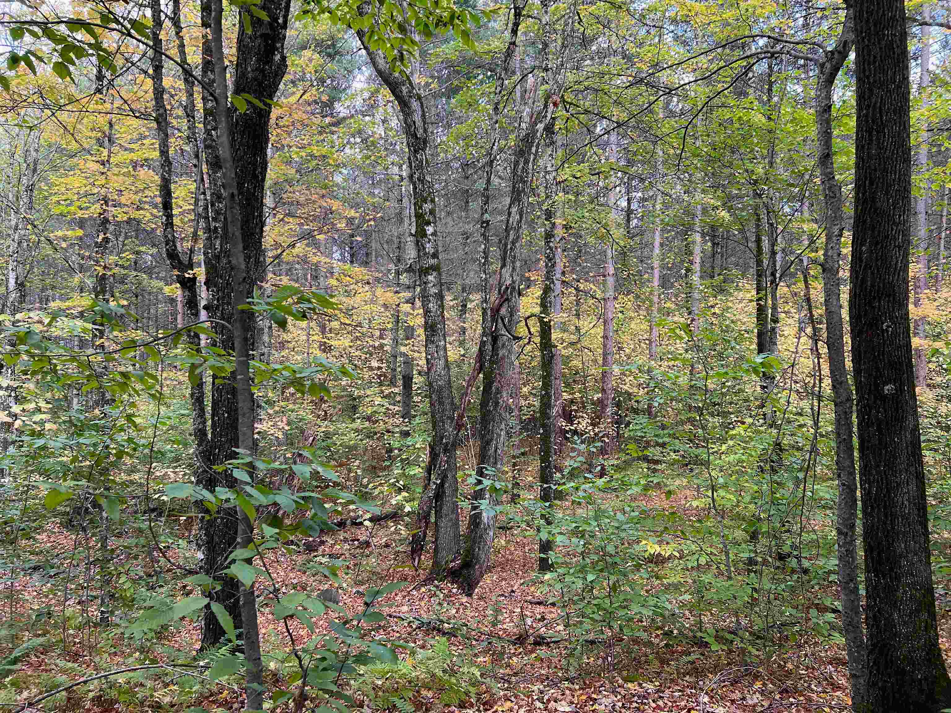 1649 Pond Hill Road Lunenburg, VT 05906 - Photo 5 of 37