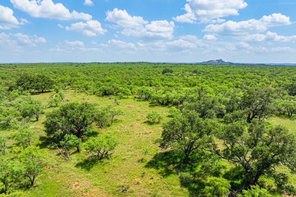 7602 County Road 113 Llano, TX 78643 - Photo 53 of 69