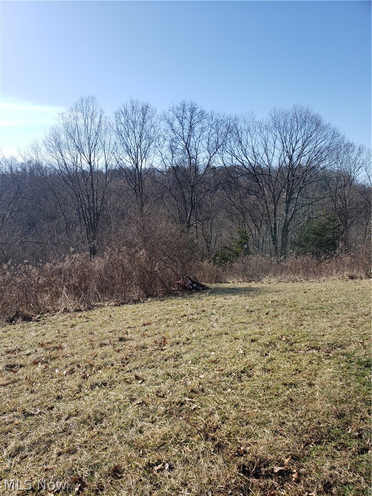 6015 Shay Ridge Road New Matamoras, OH 45767 - Photo 3 of 9 Gallery Image 3