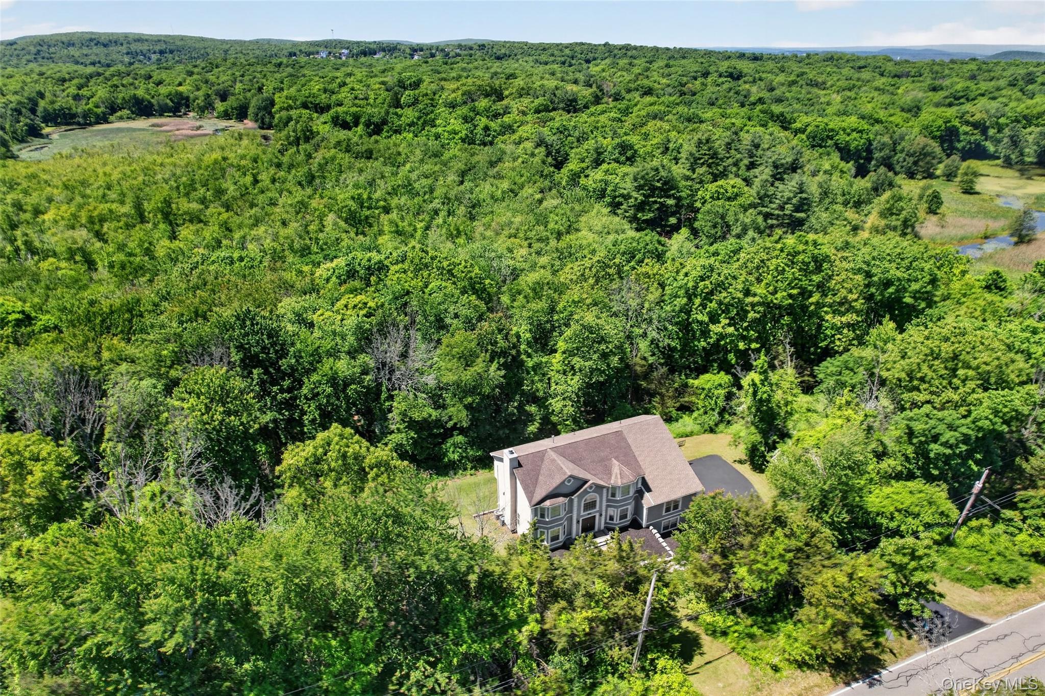 311 Rye Hill Road Monroe, NY 10950 - Photo 5 of 48