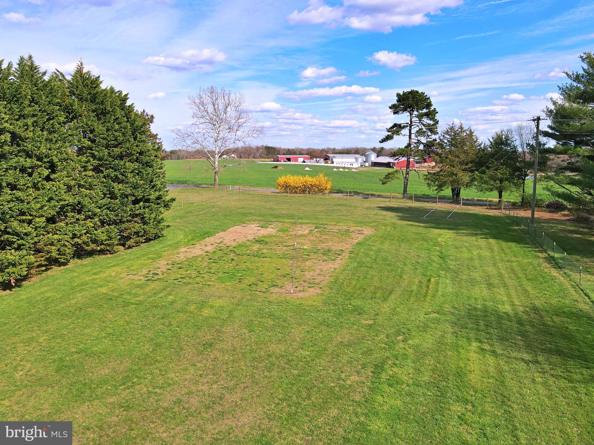 9230 Gold Dale Road Locust Grove, VA 22508 - Photo 54 of 108 Side yard behind carport