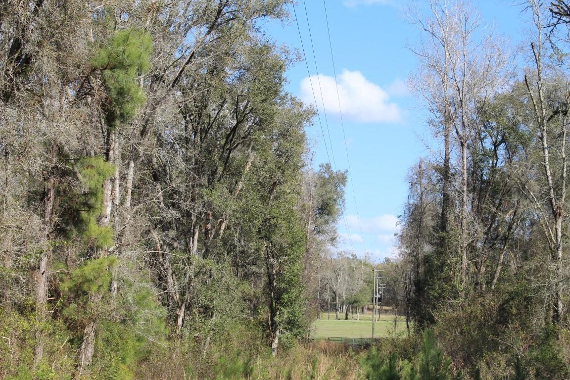 Tbd Lamar Road Monticello, FL 32344 - Photo 7 of 22 Gallery Image 7