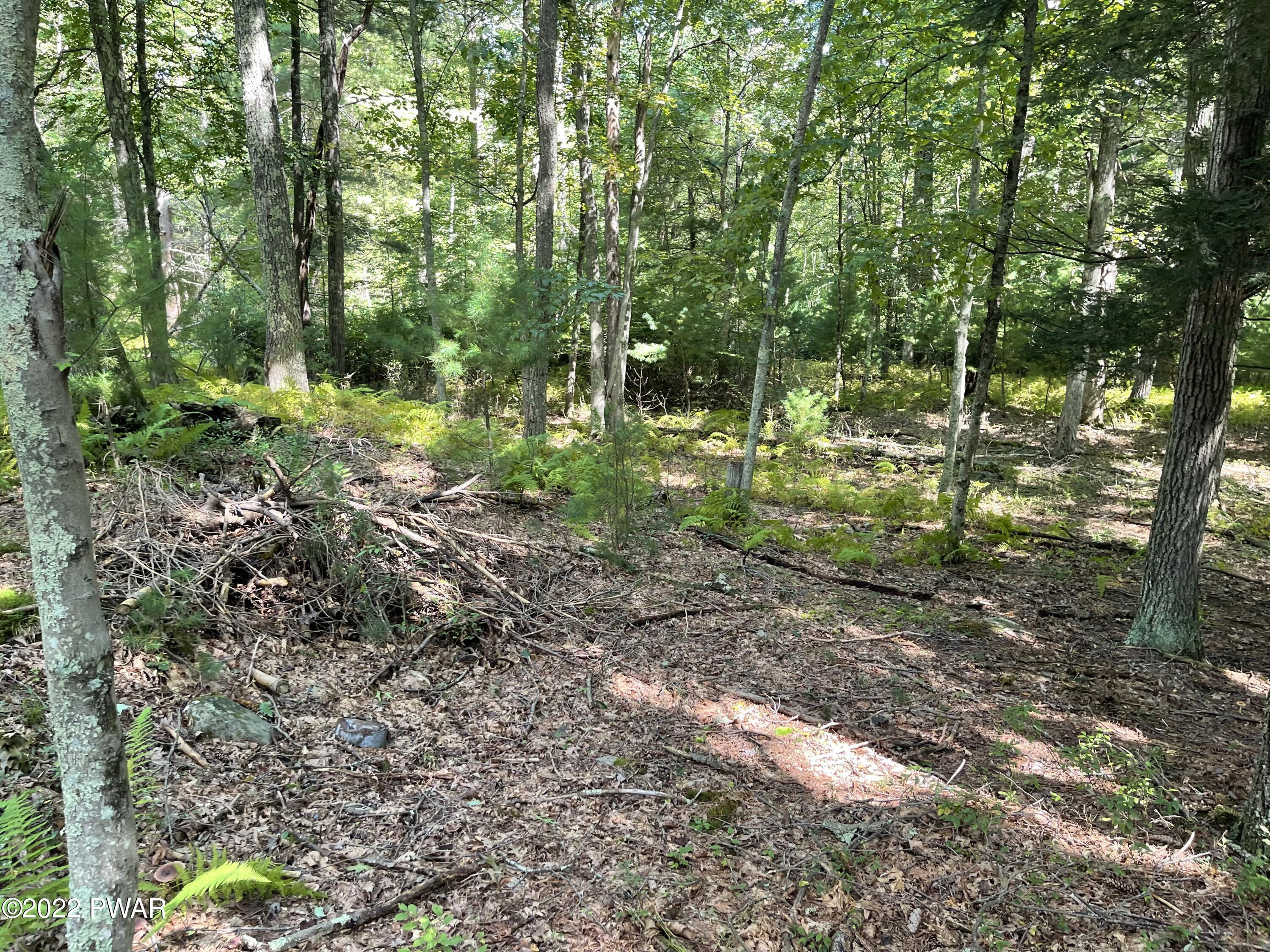 93 Welcome Lake Road Beach Lake, PA 18405 - Photo 31 of 34