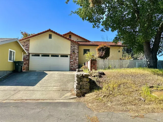 a view of a backyard with large trees and plants