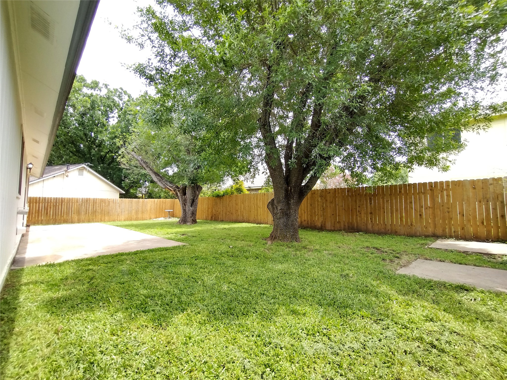 1813 Laurel Path Round Rock, TX 78664 - Photo 32 of 35 A well-maintained yard offers a private retreat with mature shade trees and ample patio space.