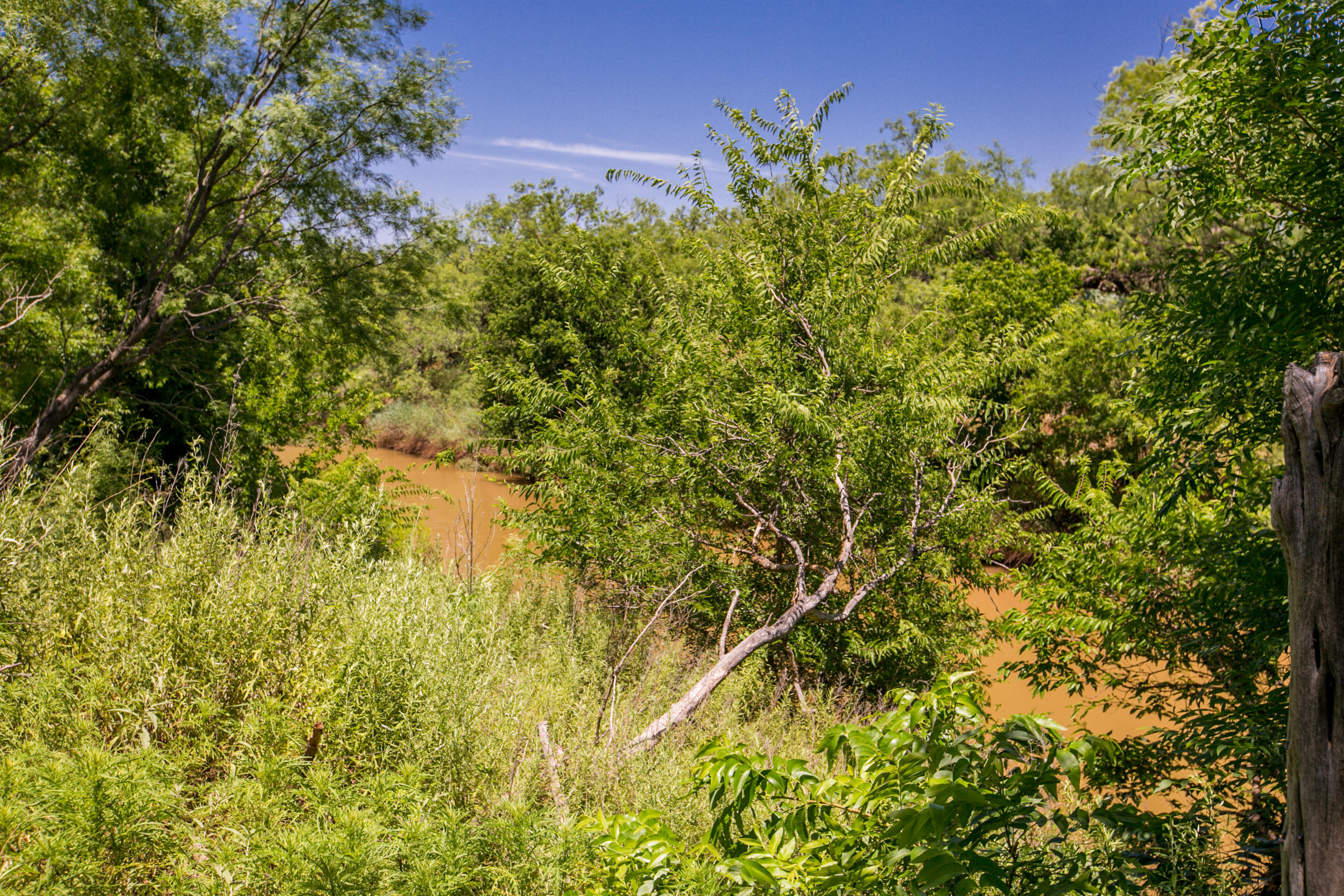 281 2884 Ballinger, TX 76821 - Photo 45 of 48 6L4A7863