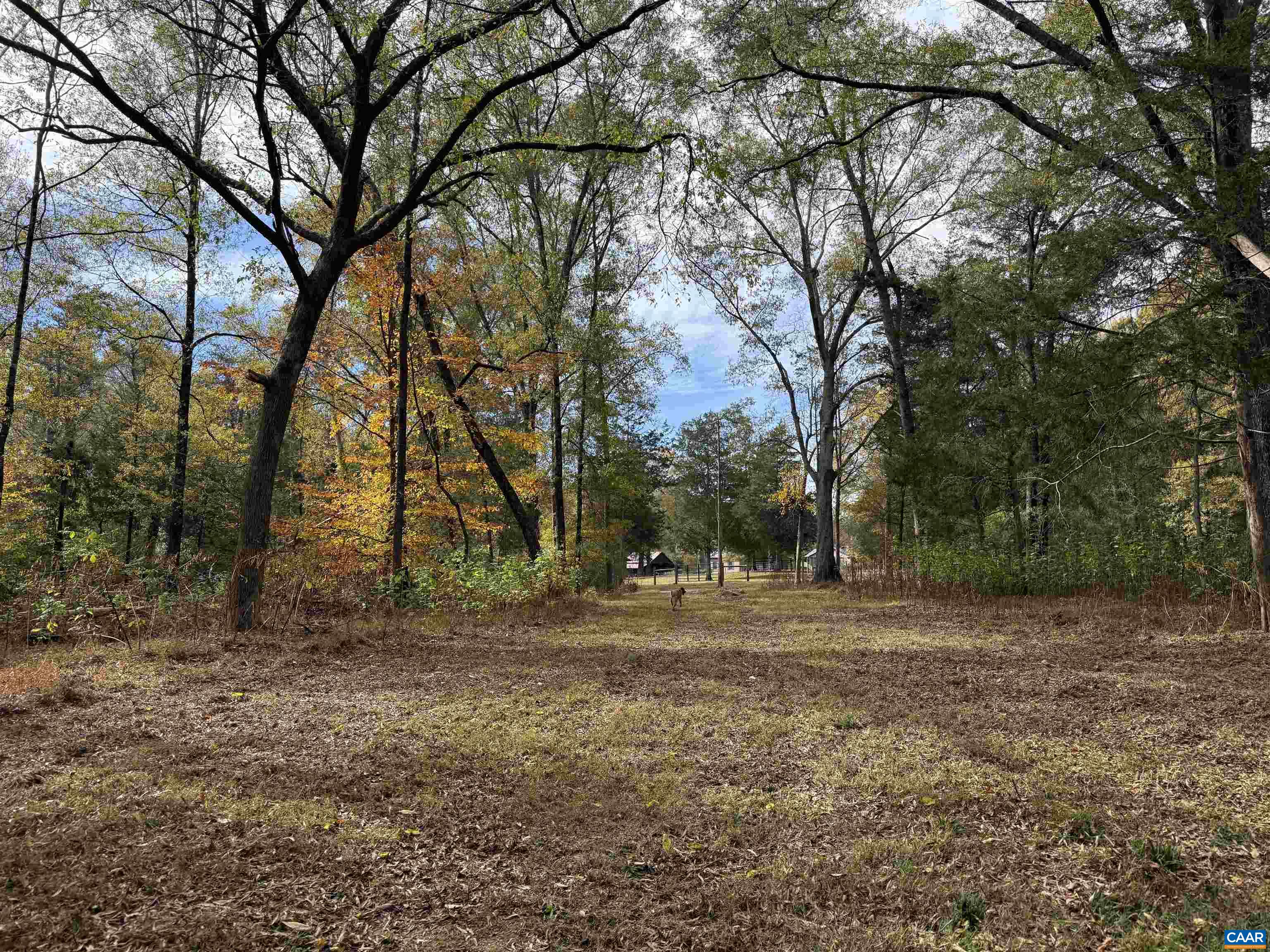0 Bridgeport Road Arvonia, VA 23004 - Photo 24 of 64 a backyard of a house with lots of green space