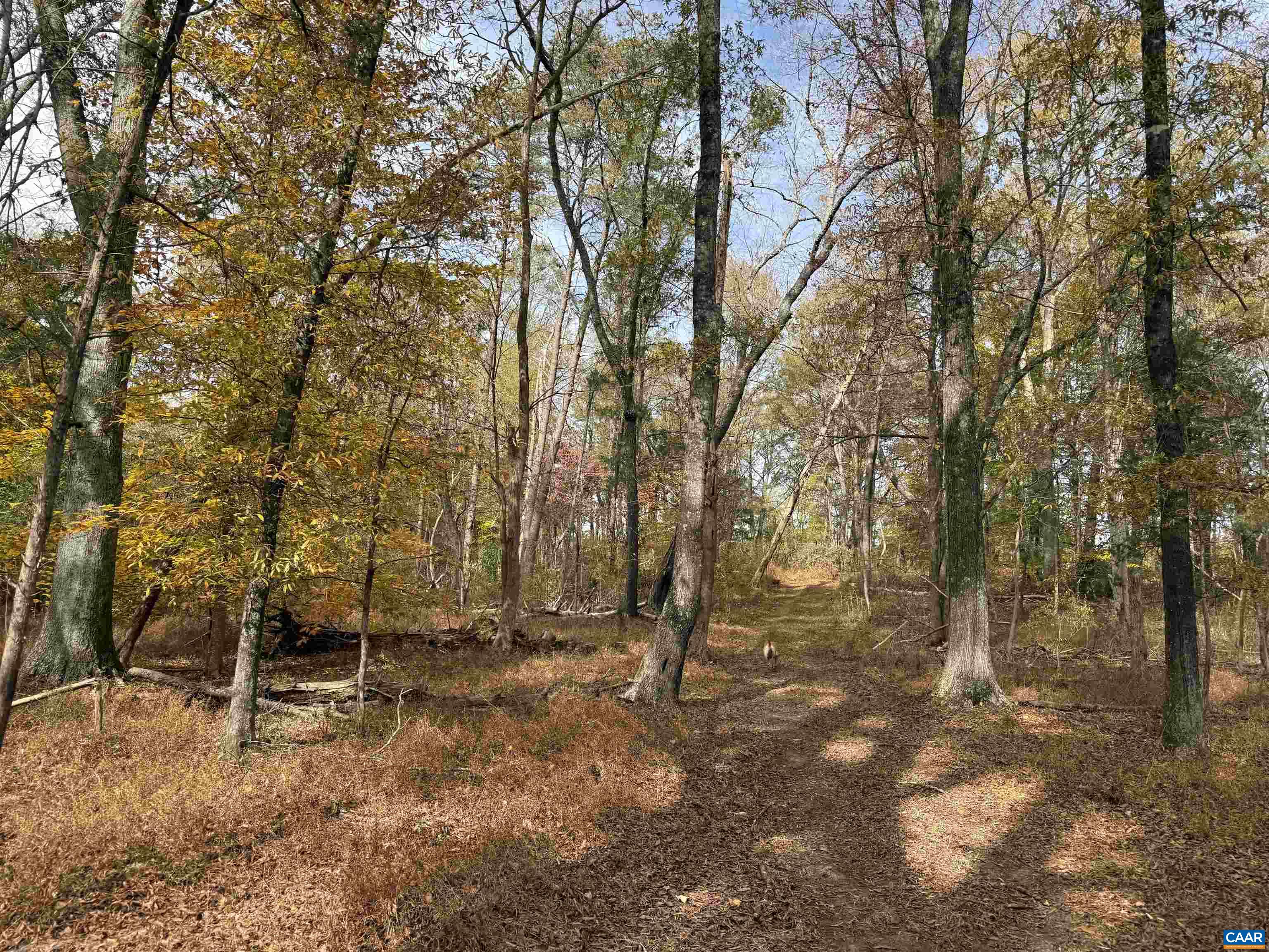 0 Bridgeport Road Arvonia, VA 23004 - Photo 25 of 64 a backyard of a house with lots of trees