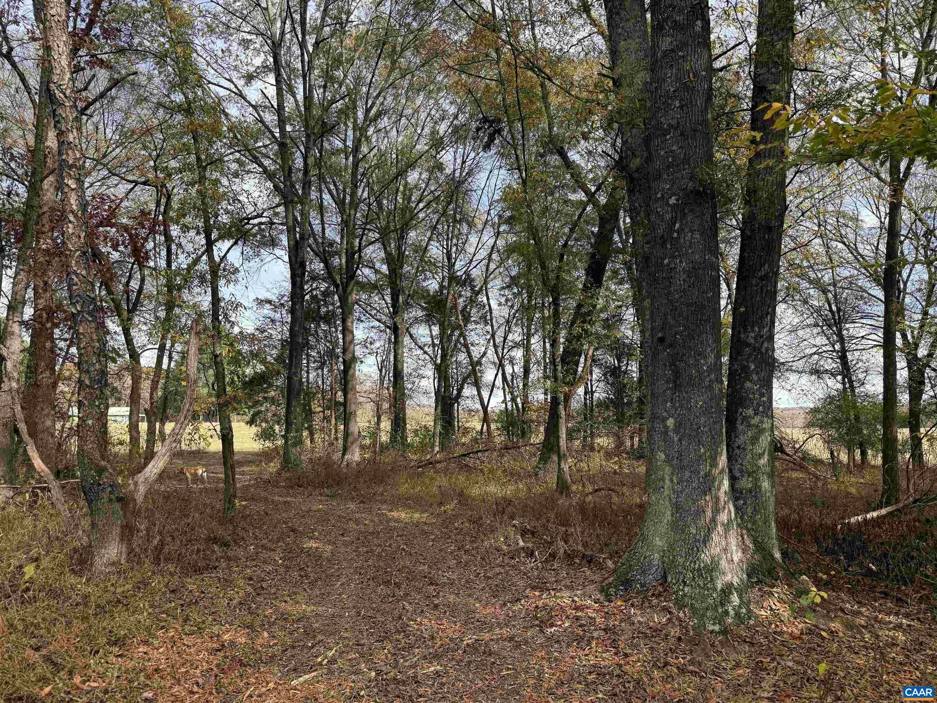 0 Bridgeport Road Arvonia, VA 23004 - Photo 26 of 64 a view of outdoor space and yard