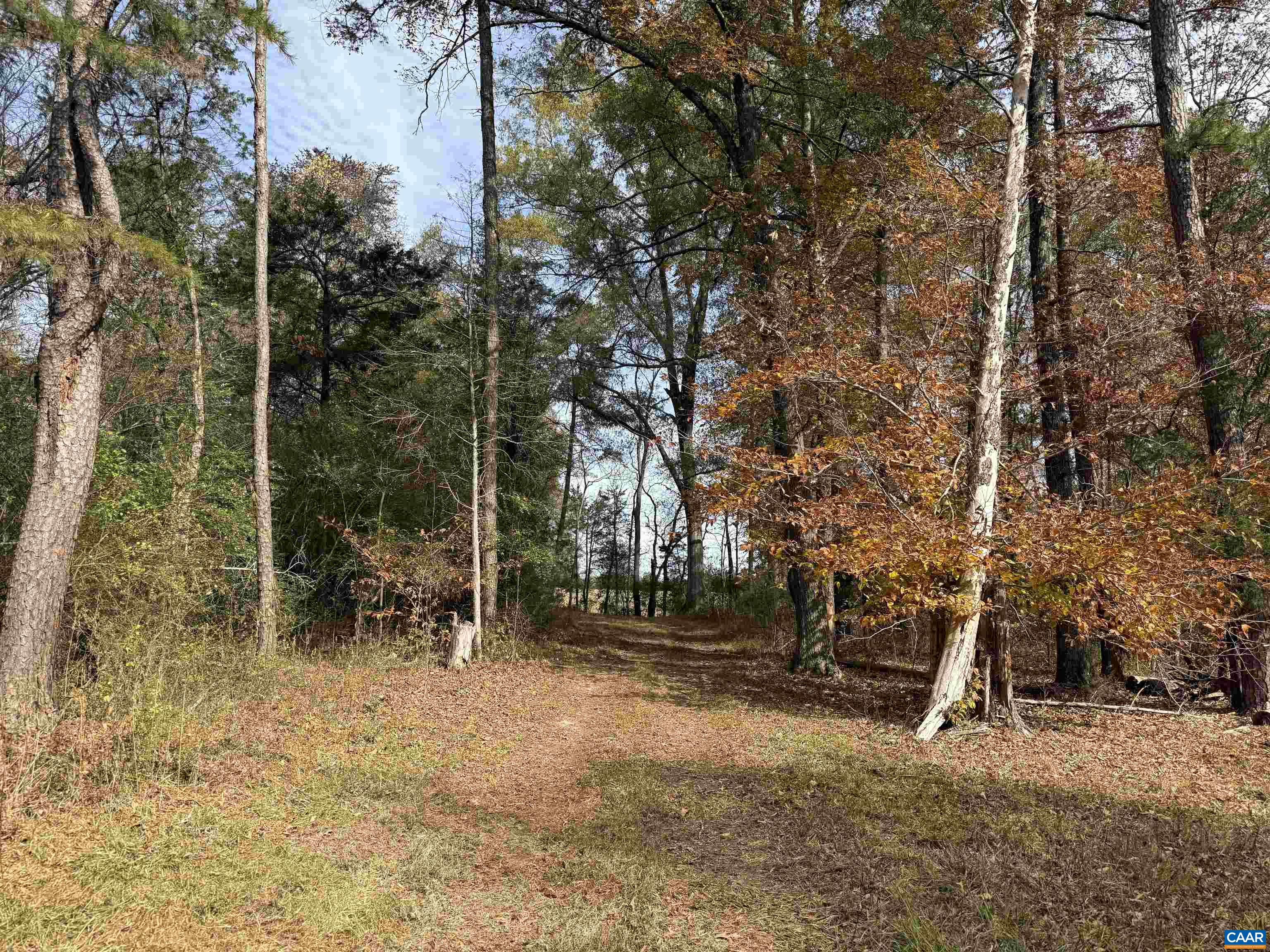 0 Bridgeport Road Arvonia, VA 23004 - Photo 28 of 64 a view of outdoor space with deck and trees