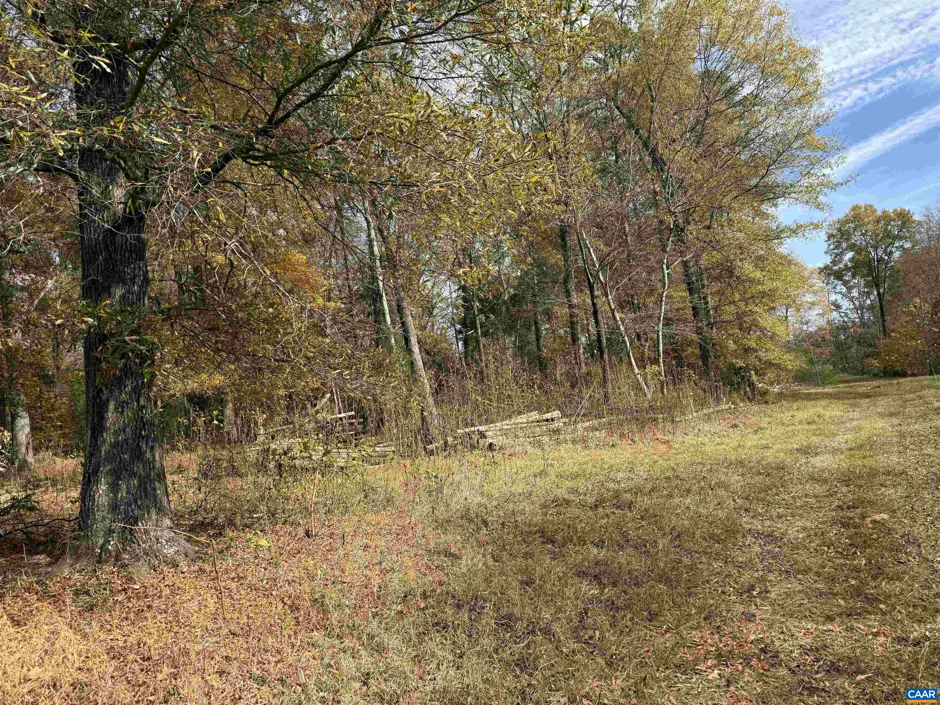 0 Bridgeport Road Arvonia, VA 23004 - Photo 29 of 64 a view of a yard with a tree