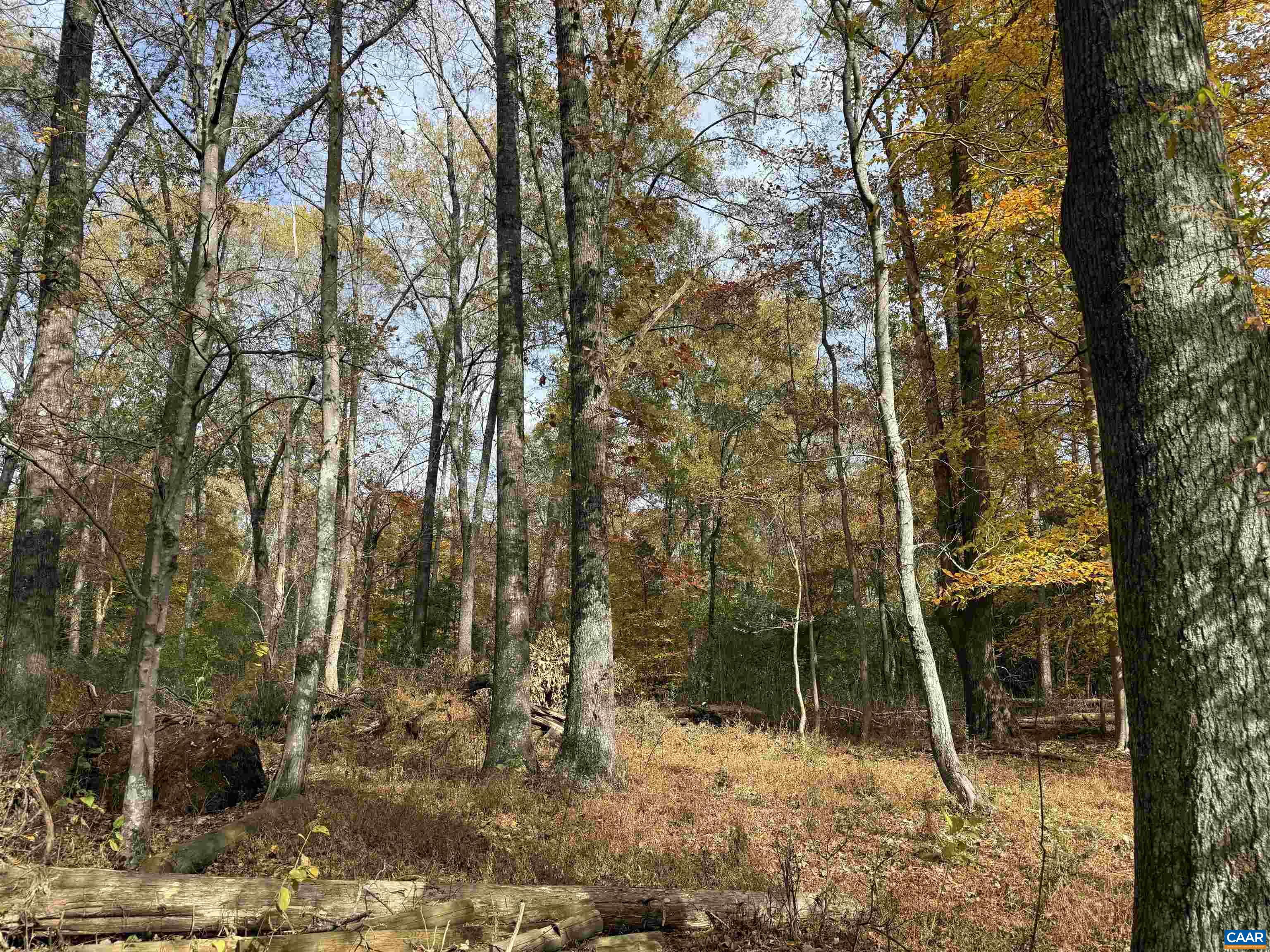 0 Bridgeport Road Arvonia, VA 23004 - Photo 30 of 64 a view of outdoor space with trees