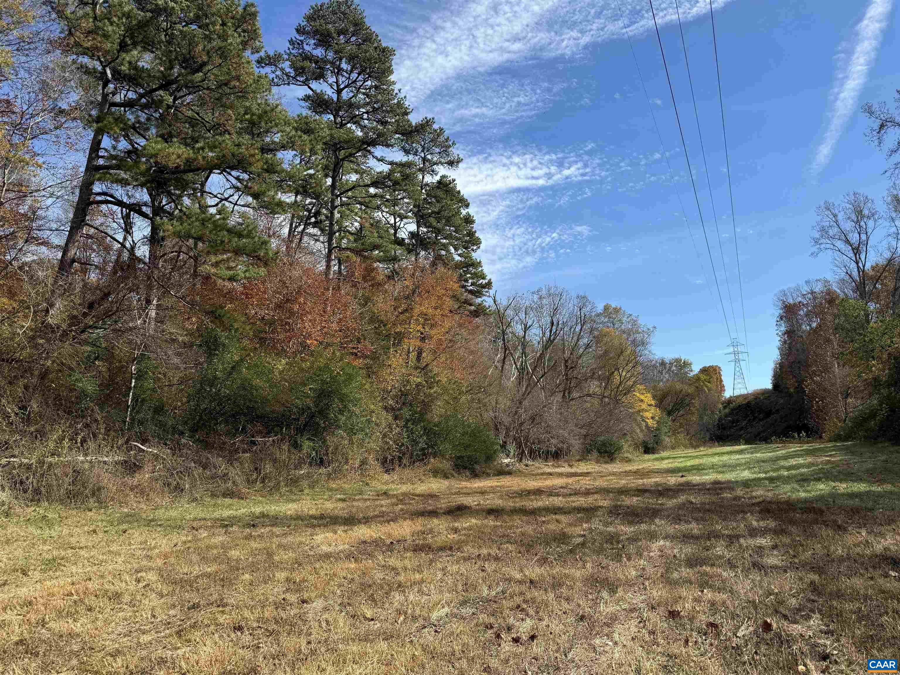 0 Bridgeport Road Arvonia, VA 23004 - Photo 36 of 64 a view of a field with trees