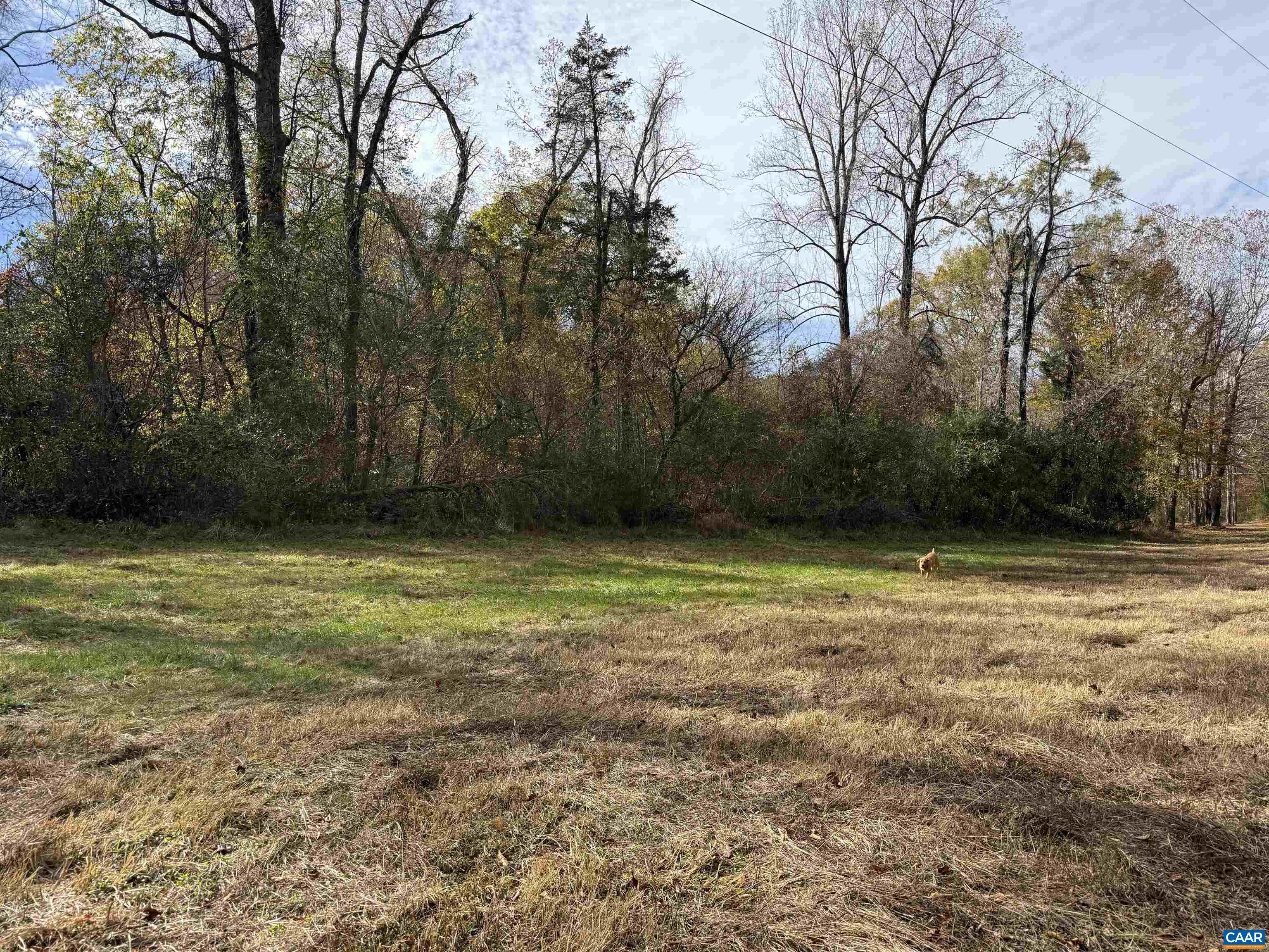 0 Bridgeport Road Arvonia, VA 23004 - Photo 37 of 64 a view of outdoor space with deck and yard
