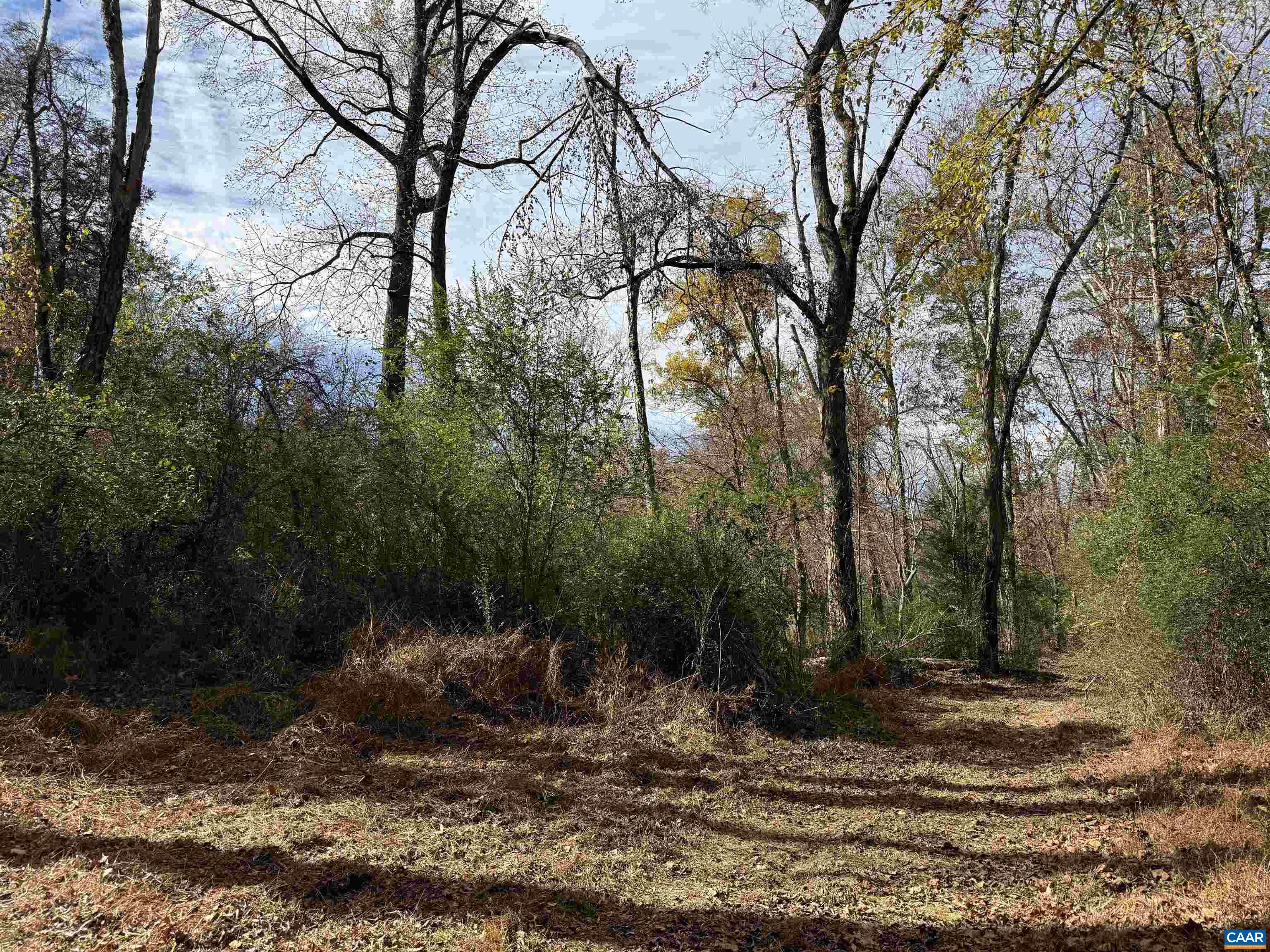 0 Bridgeport Road Arvonia, VA 23004 - Photo 41 of 64 a view of a yard with large trees
