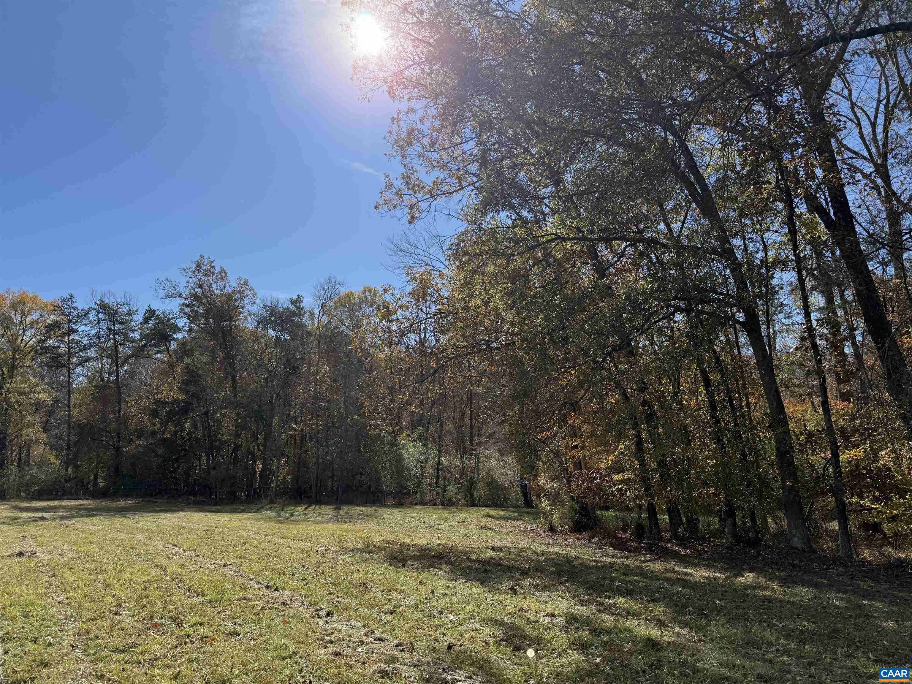 0 Bridgeport Road Arvonia, VA 23004 - Photo 50 of 64 a view of a yard with trees
