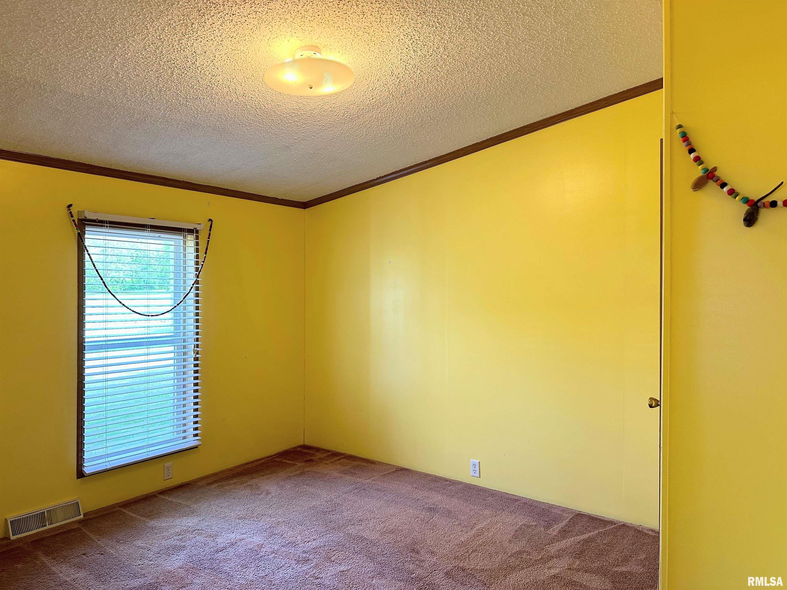 15079 East Gibson Road Mount Vernon, IL 62864 - Photo 24 of 43