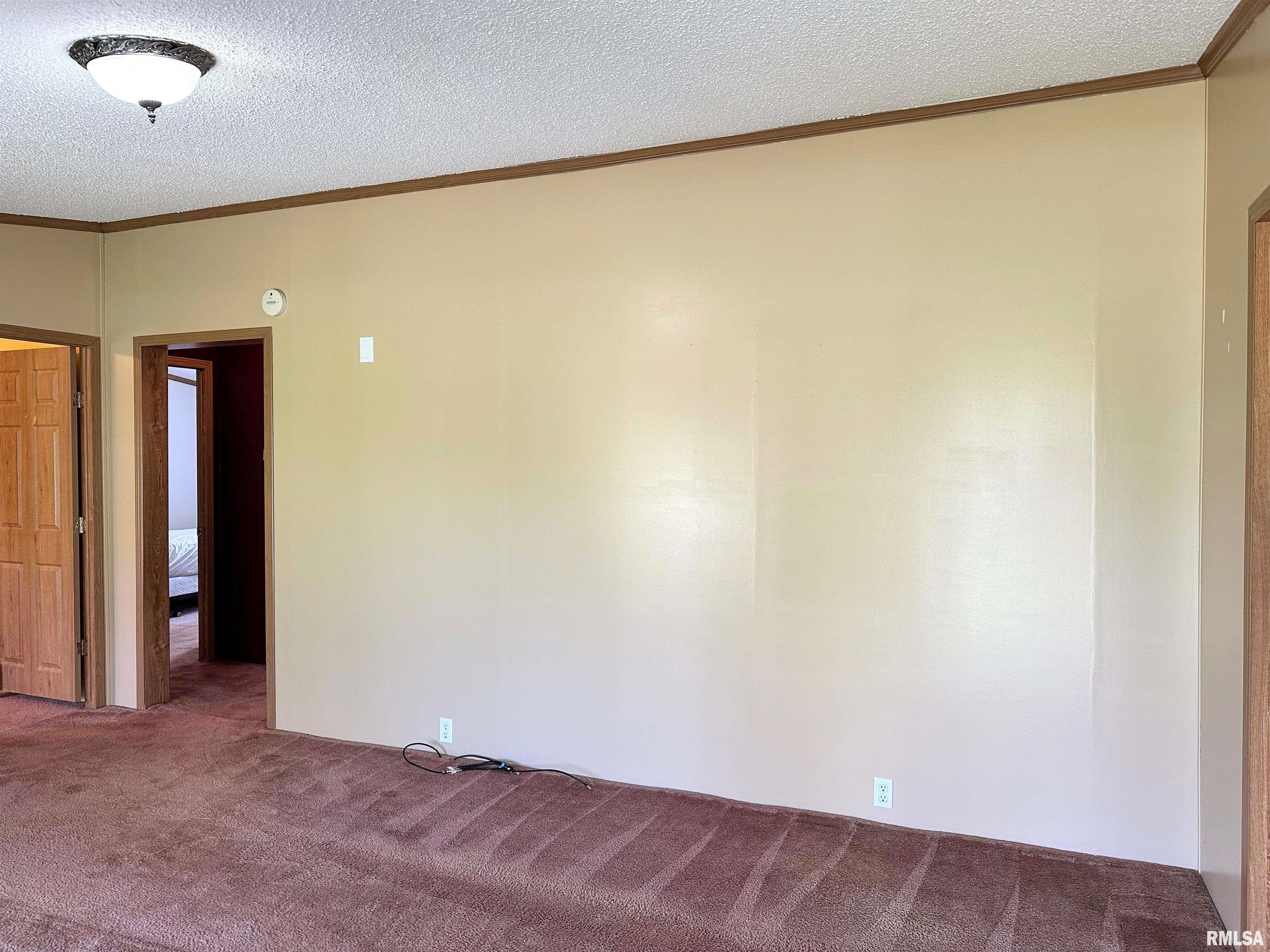 15079 East Gibson Road Mount Vernon, IL 62864 - Photo 7 of 43