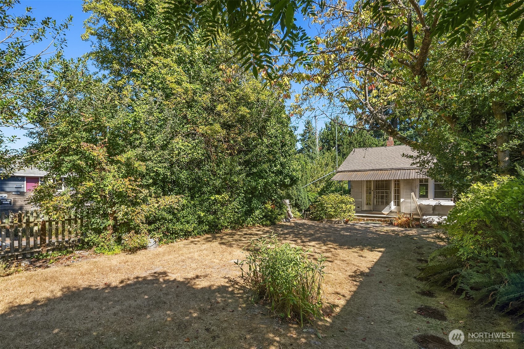 5202 35th Avenue Southwest Seattle, WA 98126 - Photo 12 of 32 a view of a big yard with plants and large trees