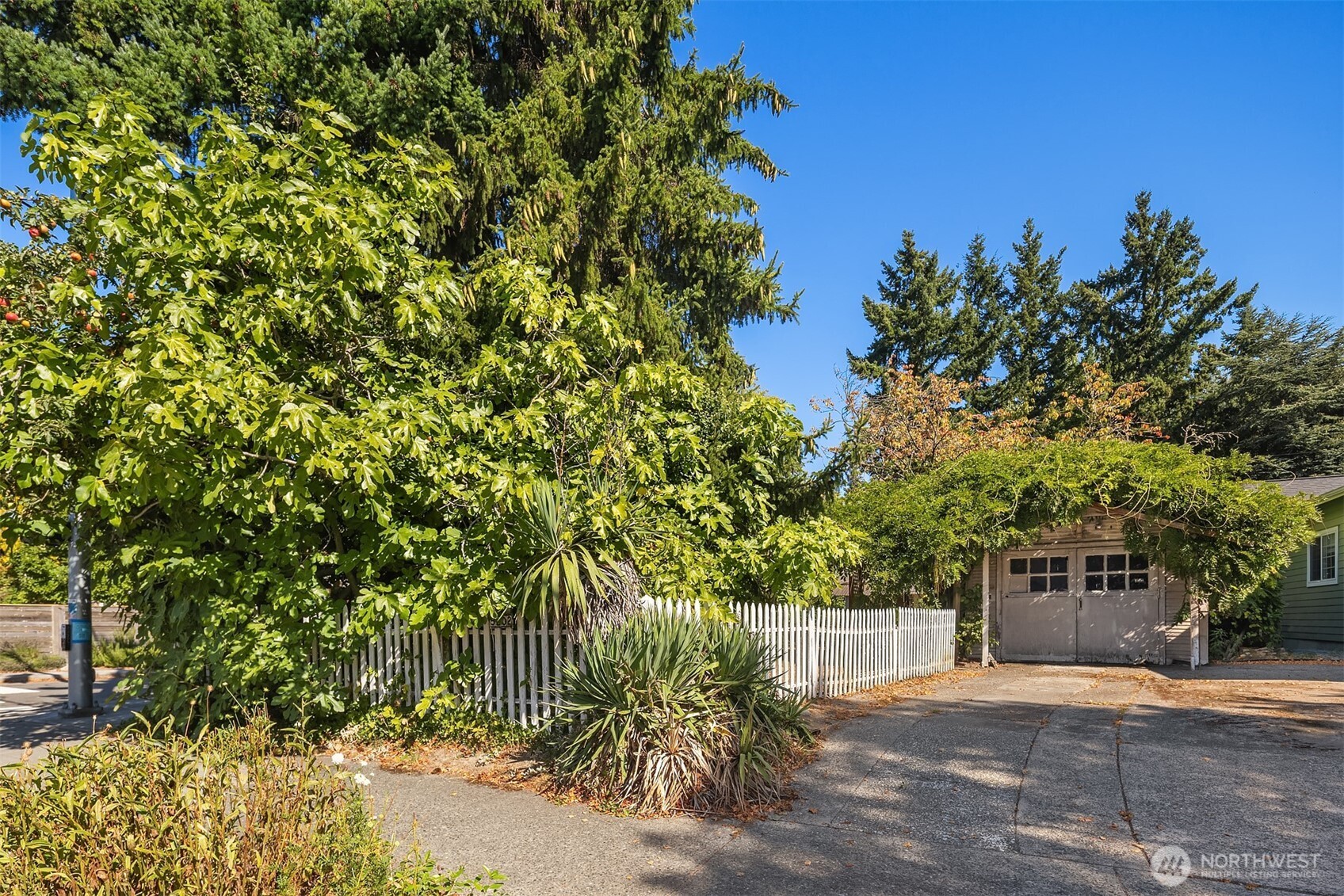 5202 35th Avenue Southwest Seattle, WA 98126 - Photo 3 of 32 a view of a yard with plants and trees