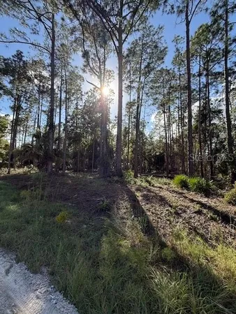 $25,900 | 215 Hideaway Lane, Georgetown, FL 32139
