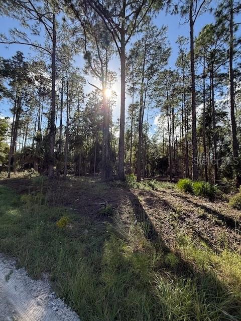 215 Hideaway Lane Georgetown, FL 32139 - Photo 1 of 3