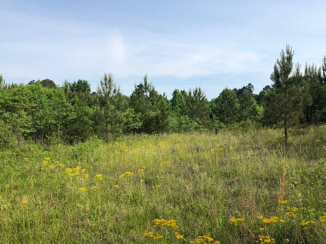 2512 Fowler Road Mitchell, GA 30820 - Photo 1 of 11 Main View